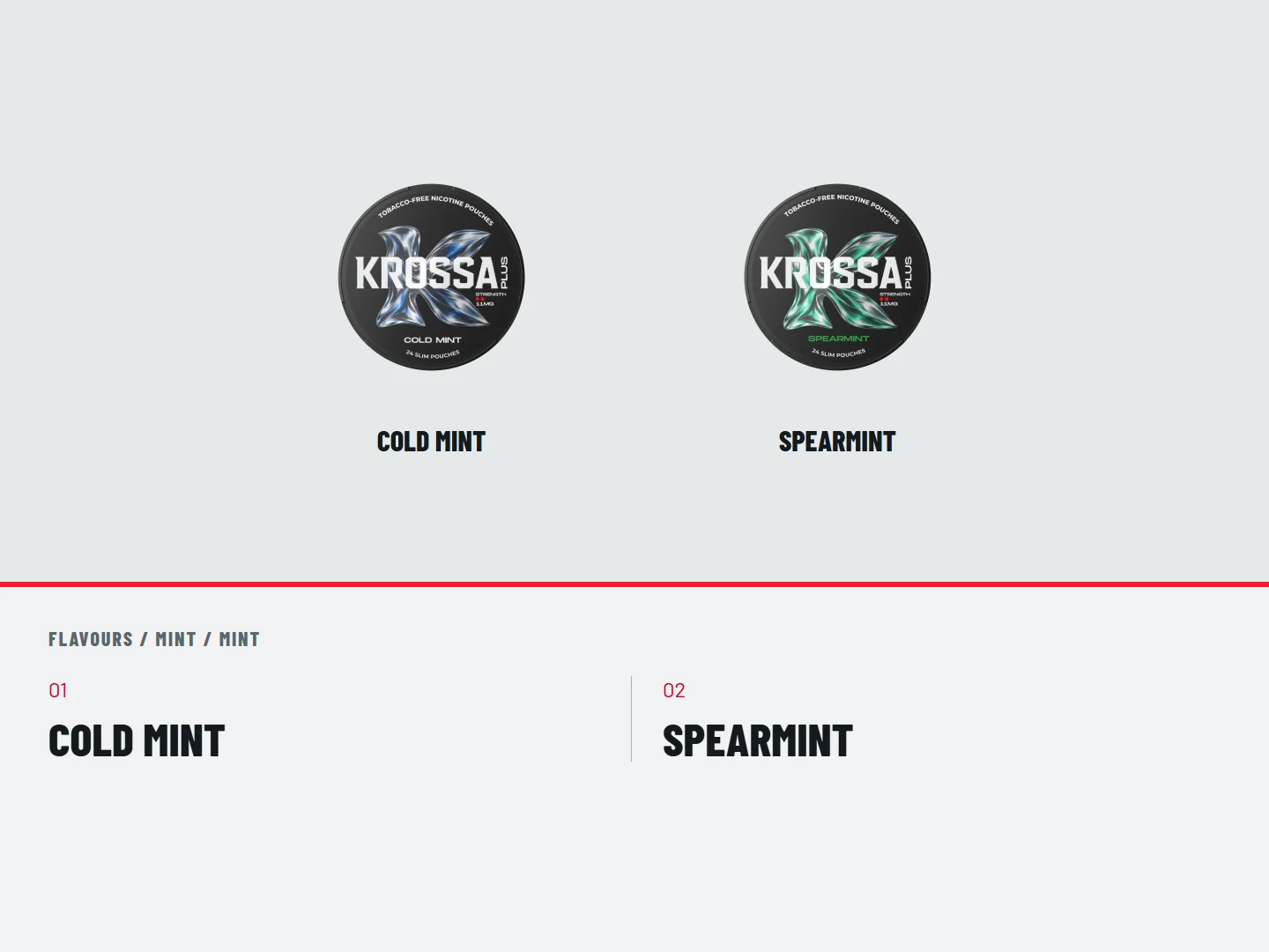 Mint / mint: COLD MINT; SPEARMINT