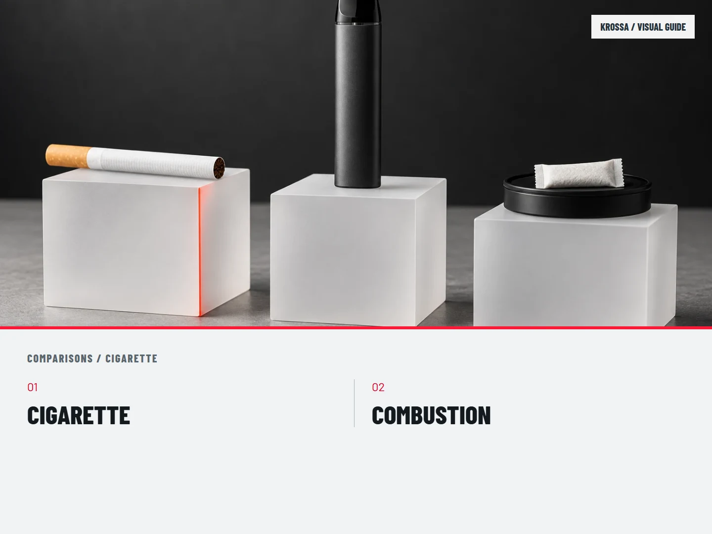 Cigarette: CIGARETTE; COMBUSTION