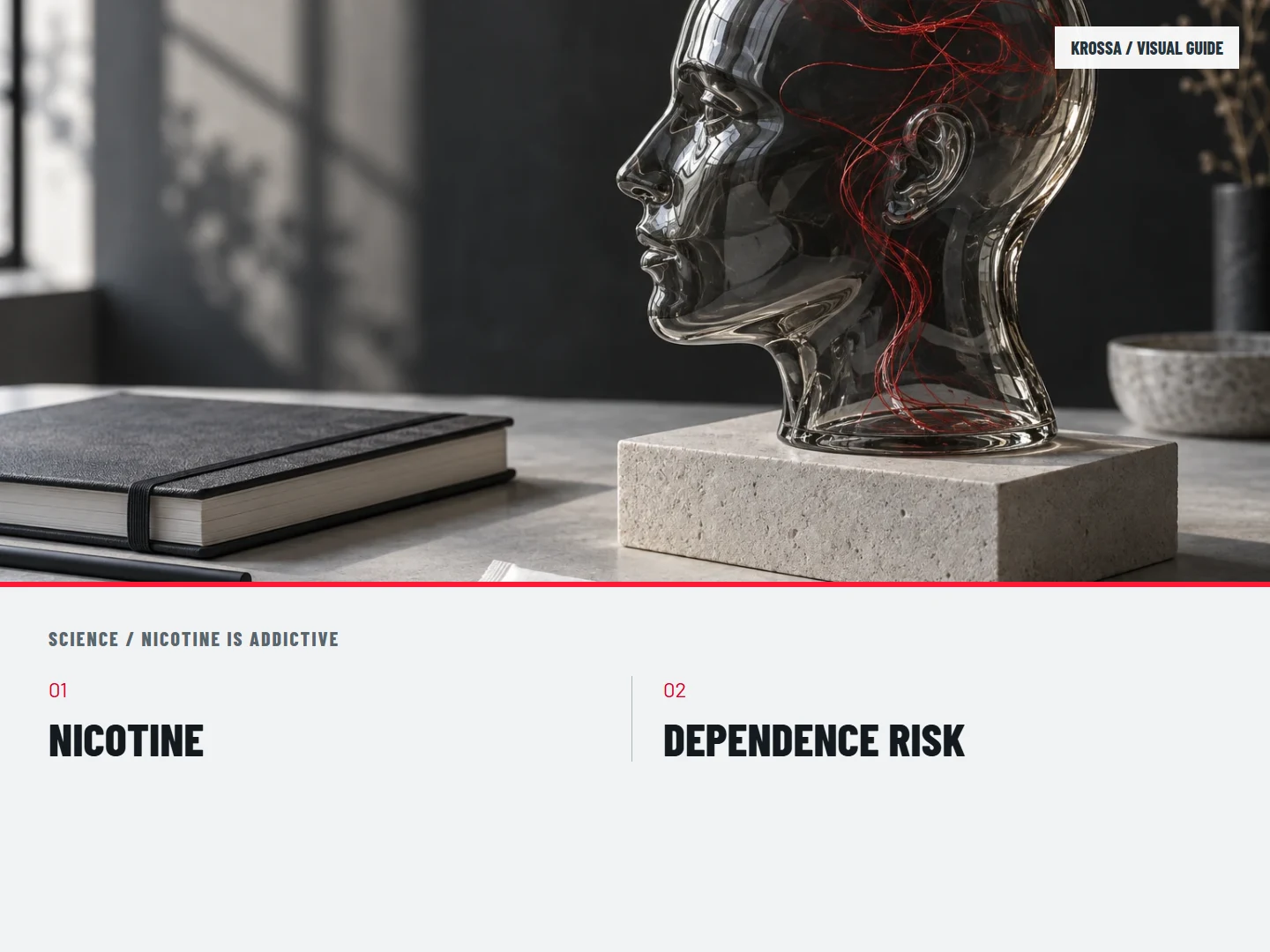 Nicotine is addictive: NICOTINE; DEPENDENCE RISK