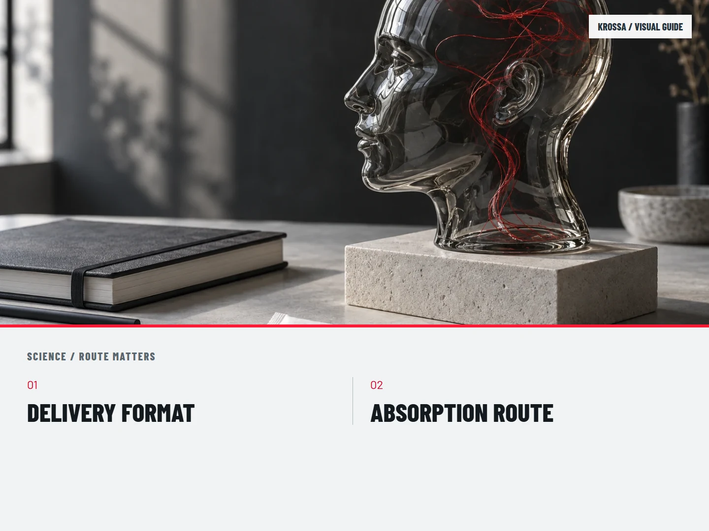 Route matters: DELIVERY FORMAT; ABSORPTION ROUTE