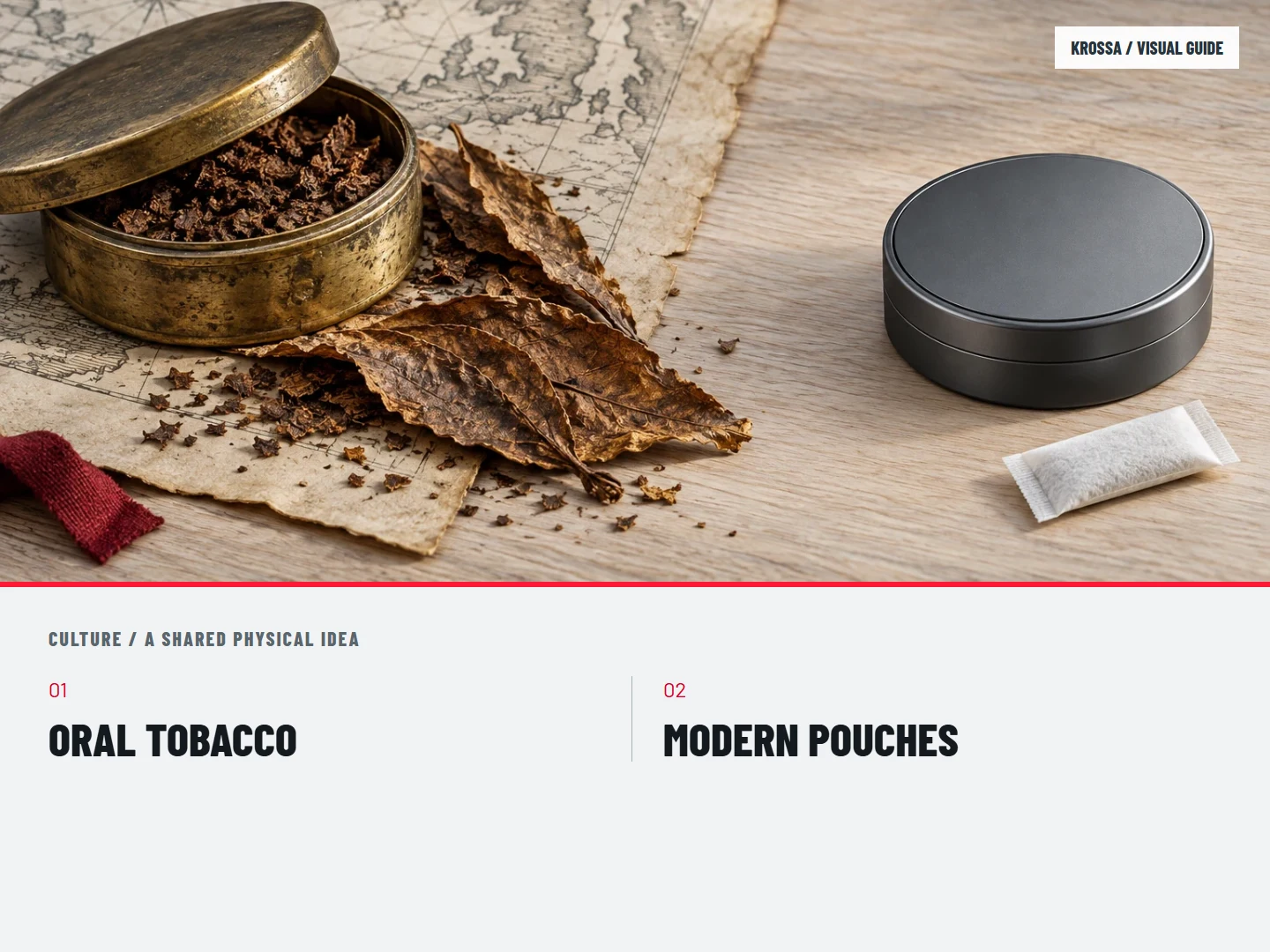 A shared physical idea: ORAL TOBACCO; MODERN POUCHES
